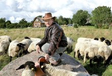 Koit Kull on Saaremaa suurim lambakasvataja