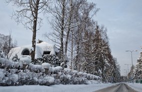 В лесах Эстонии воцарился рождественский мир